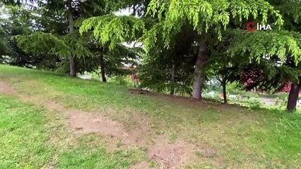 Mesire alanında silahla öldürülmüş halde bulundu