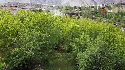 Tortum Şelalesi coştu yürüyüş yolu kapatıldı