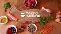 Debunking  Complete  Dog Food   Dog Nutrition Lessons   Ep 4.