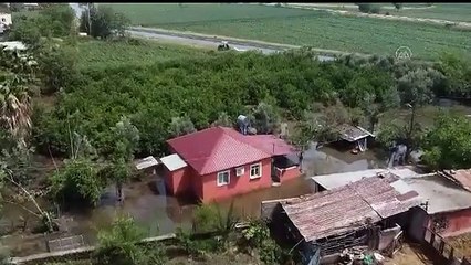 Osmaniye'yi fırtına ve sağanak vurdu. Araziler sular altında kaldı, ağaçlar devrildi
