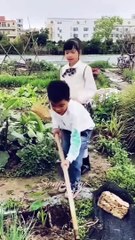 funny trending video viral funny comedy viral factyoutube reels_@Manoj Dey (2)
