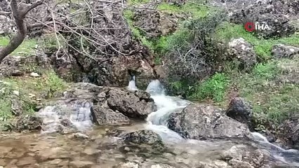 Köylüler şaşkına döndü! Depremden sonra gürül gürül akmaya başladı