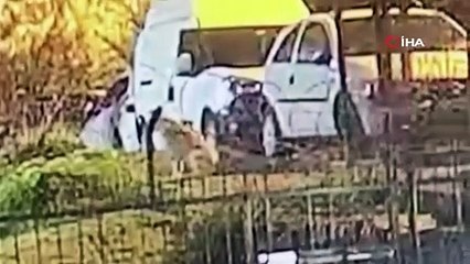 Sokak köpeğine silahlı saldırı. Bu nasıl vicdansızlık