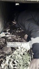 Suriyeli insan kaçakçısı sınır duvarının altındaki tünelden kolay ve güvenli geçişin reklamını yaptı