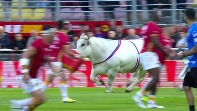 Fransa'da sahaya giren boğa ortalığı karıştırdı