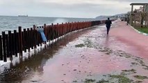 Tekirdağ'da deniz ulaşımına poyraz engeli