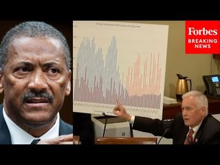 'What Do These Charts Tell You?': McClintock Grills Forest Service Chief On Loss Of Public Forests