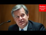 GOP Senator Asks FBI Director Chris Wray About The Danger Of Fentanyl In The United States