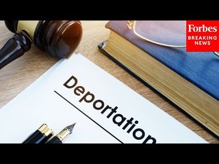Pew Survey Shows Majority Of Trump Supporters Approve Of Mass Deportations