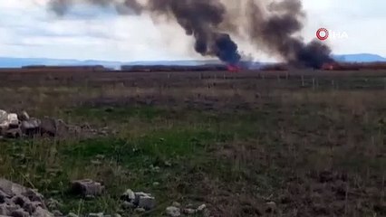 Van'da sazlık alanda yangın