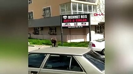 3 çocuk annesi kadın sokak ortasında kayın biraderine mermi yağdırdı! ''Namusumu temizledim'' dedi