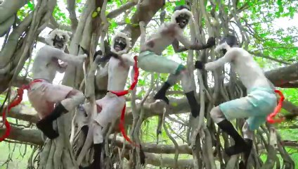Dont Miss Exclusively Monkey Funniest Comedy Video  Viral Funny Video 2024 Ep 156 By Our Fun Tv