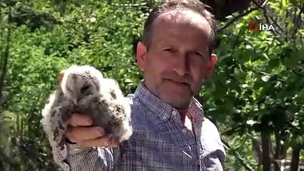 Baykuş ile Ordulu Atilla'nın dostluğu