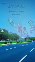 Holy Verses: Quran, The Solution to All Problems ✨