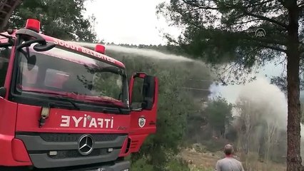 Bilecik'te ormanlık alanda yangın