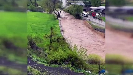 Sele kapılan inek telef oldu