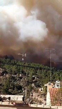 İspanya’da orman yangını. Binden fazla kişi tahliye edildi