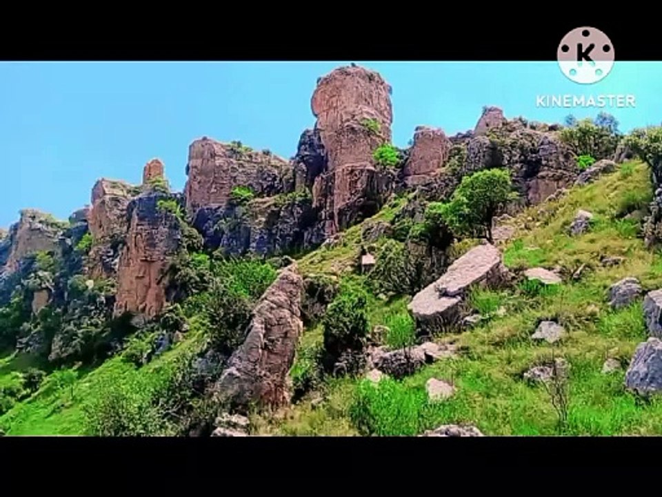 VID-20240519-WA0001