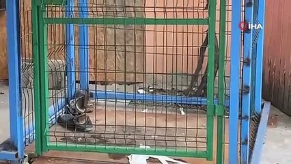 3 günlük evli çifti halatı kopan asansör ayırdı