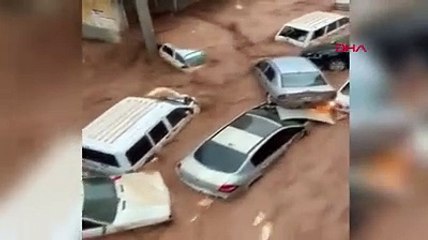 Deprem de sel felaketi de bir şey anlatıyor: Doğa ile savaş olmaz kaybeden insanlık olur