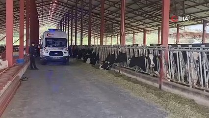 İzmir'de helikopter tarlaya indi