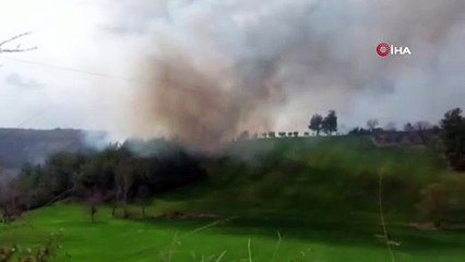 Osmaniye’de orman yangını