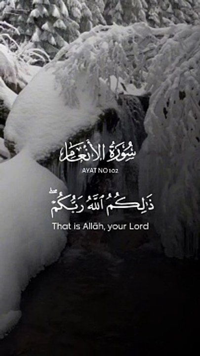 #Islamic Teachings"#Islam#Quran#Surah#taqareer#fly