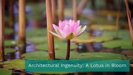 One Pillar Pagoda: A Timeless Marvel of Spiritual and Architectural Significance