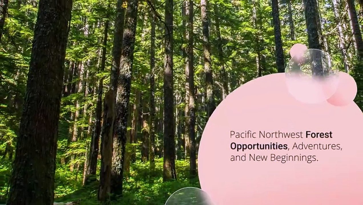 Oregon Trail Ruts: Traces of History Carved in Stone