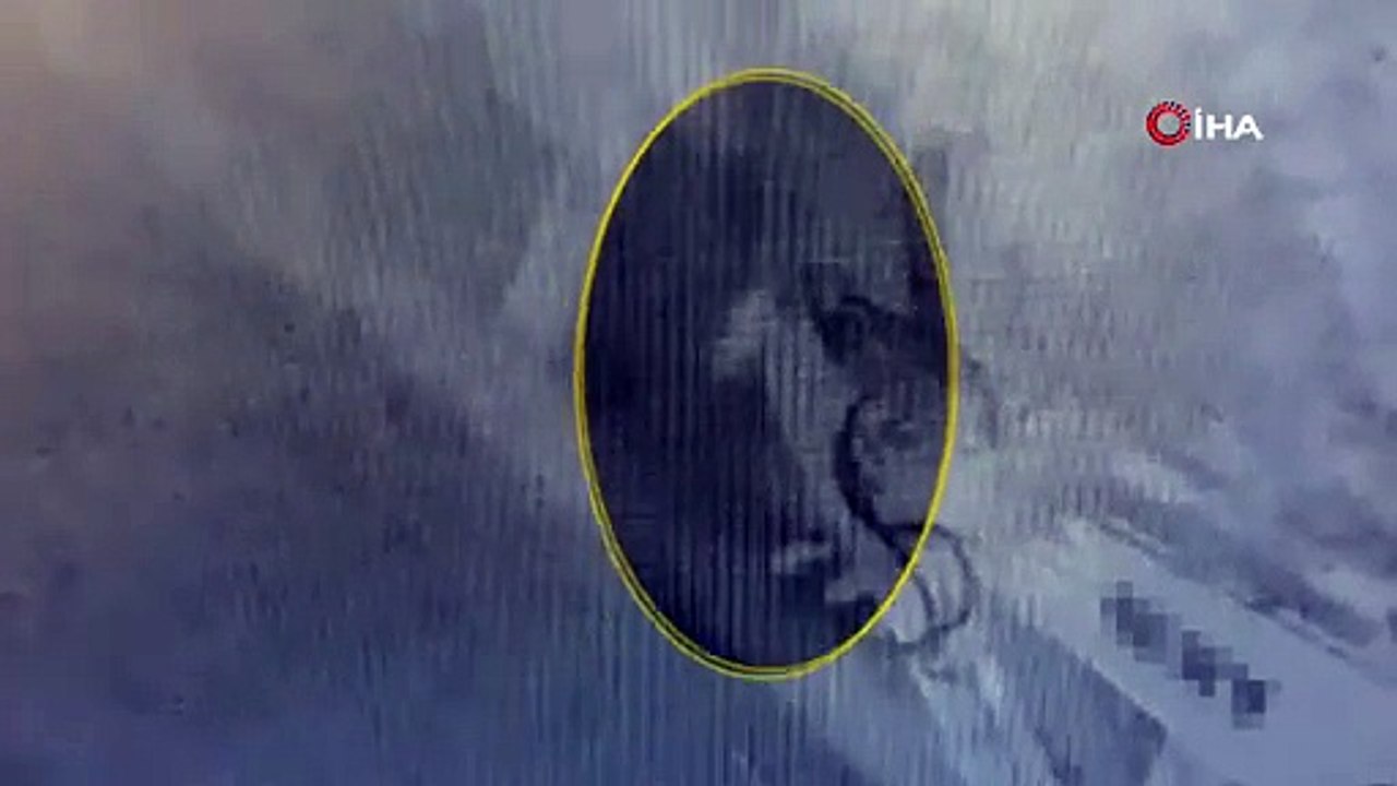 Bahçe duvarından işyerine girdi. Güvenlik kamerasına böyle takıldı