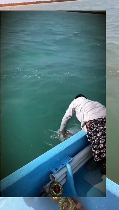 Caught a fish with my hands