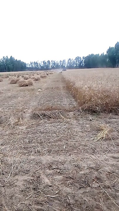 VID_20240426_080625