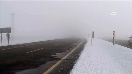 Kars-Iğdır kara yolunda ulaşıma sis engeli