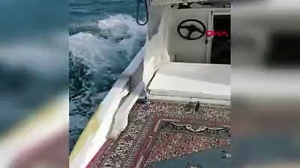 Yunanistan diye kaçak göçmenleri 'Çıplak Ada'ya bıraktılar