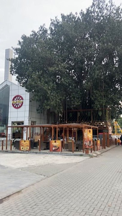 Rawalpindi Jinnah Park Evening Special Time View #rawalpindi #jinnahpark #view #viral #tranding