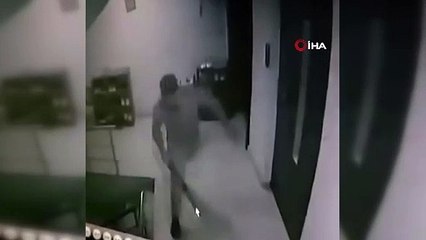 Kediye apartmanda sopayla saldırdı