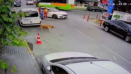 Yolun karşısına geçen köpeğe çarpıp kaçtı