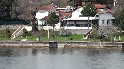 Sapanca Gölü'nde sevindiren gelişme!