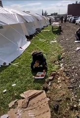 Gelin bu çocuğa anlatın İmar barışını. Annesini, babasını kardeşlerini kaybetti. Yemek kuyruğuna tek başına girdi, yemeği yemedi yere çöktü