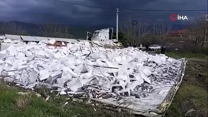 Balık yüklü tır kaza yaptı: Balıklar yola döküldü