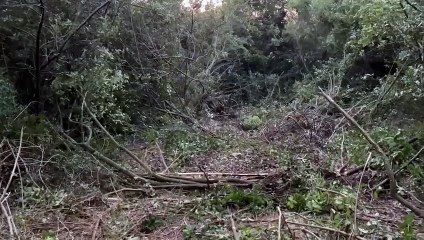 El değmemiş iki koy betona gömülüyor. Bakanlık talanı ''Korumak için yapıyoruz'' diyerek savundu