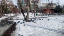 Erzurum ve Ardahan'da kuvvetli fırtına ile kar yağışı etkili oluyor