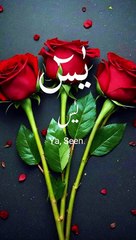 Surah Yasin Beautiful Tilawat Kalam Pak