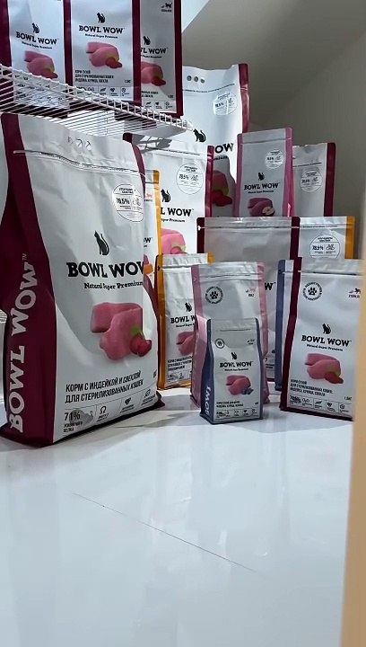 But she didn't think about the most important thing  … #cat #cats