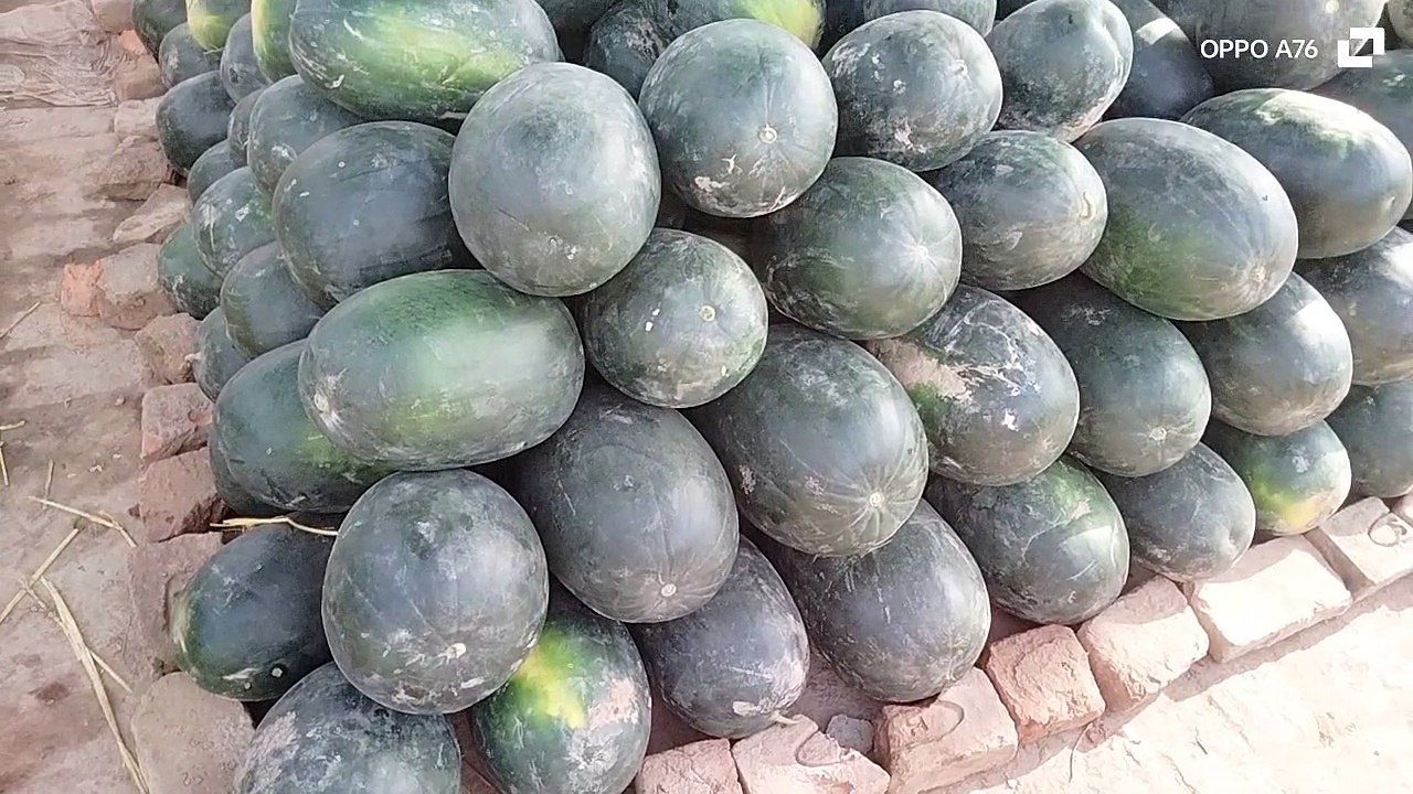 Watermelon