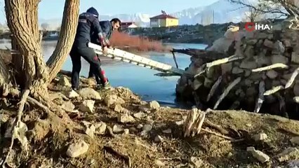 Günlerdir nehirde mahsur kalan köpek kurtarıldı