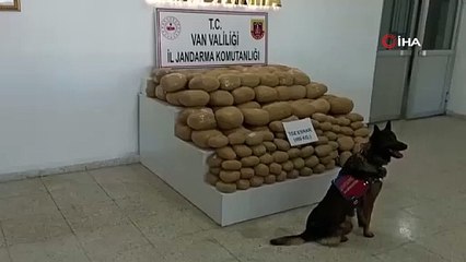 Van’da 486 kilo uyuşturucu madde ele geçirildi