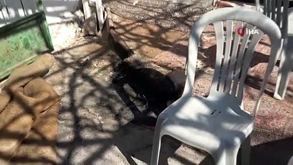 Fenomen davulcuyu yakarak öldürdüler