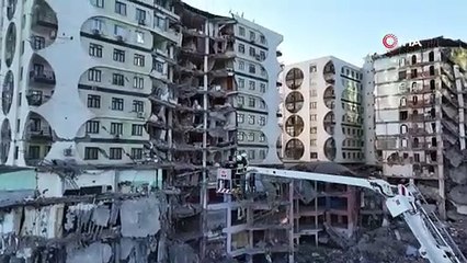 Binanın yıkımını kedi durdurdu