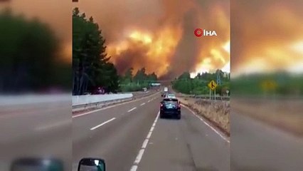 Şili'de orman yangınlarında hayatını kaybedenlerin sayısı 13'e yükseldi